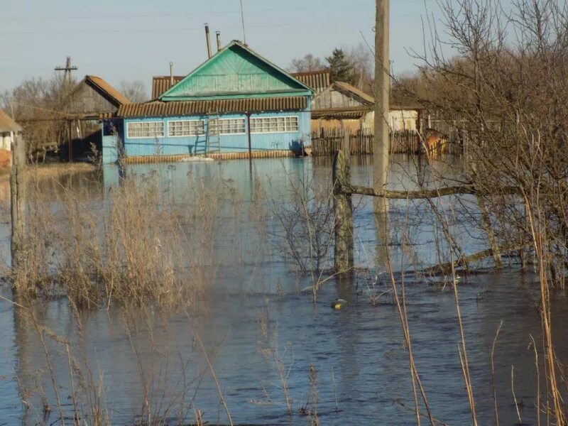 Воронцовка саратовская область. Село новоселовка саратовская область. Погода в селе комаровка саратовская область. Погода в селе комаровка саратовская область. Погода в селе комаровка саратовская область.