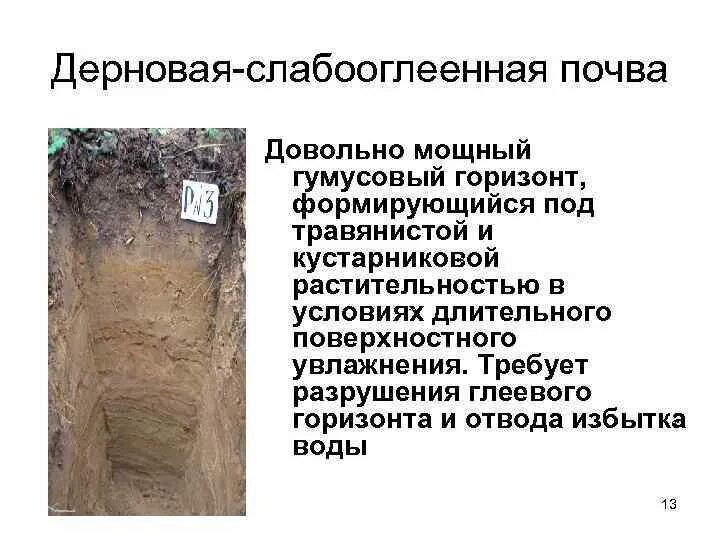 Почва у лесных полос. Трактор в поле. Почвы ярославского края. Почвы ярославской области. Приму грунт ярославль.