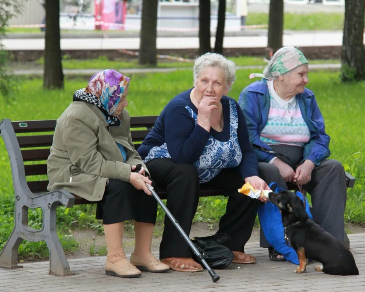Подмосковная пенсия. Пенсионеры. Российские пенсионеры. Веселые пенсионеры. Веселые российские пенсионеры.