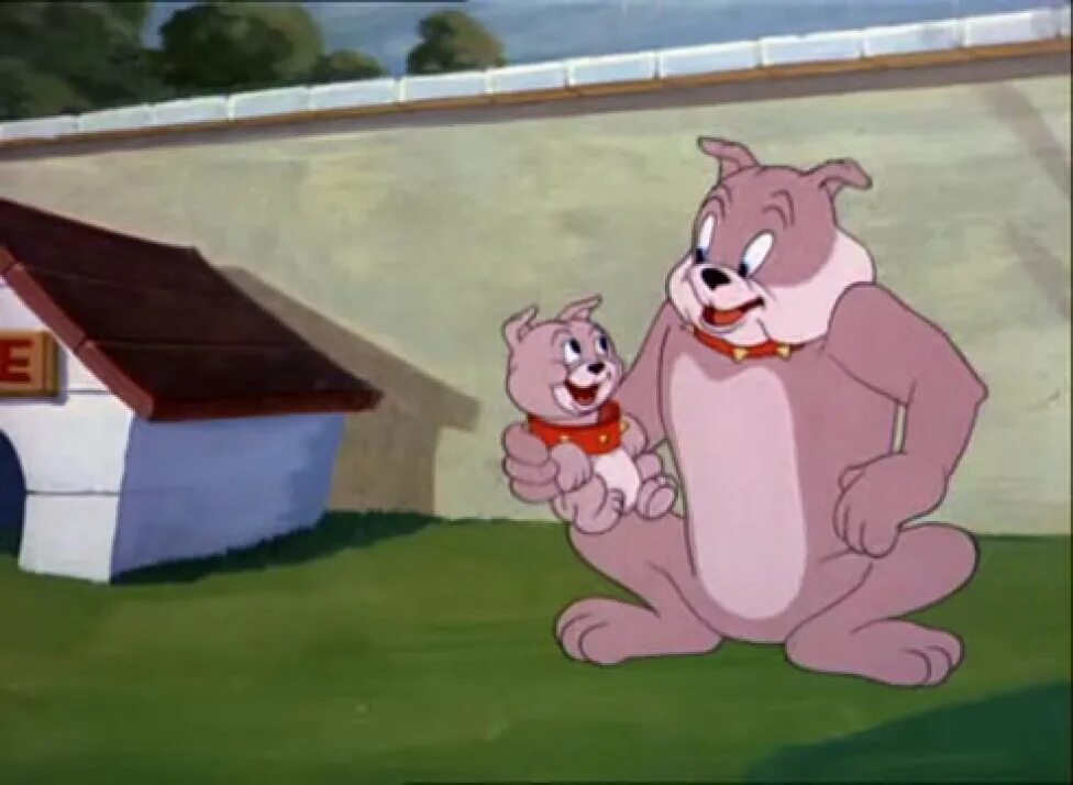 тайк том и джерри. собака спайк из том и джерри. джерри спайк и тайк. сын спайка из том и джерри. тайк.