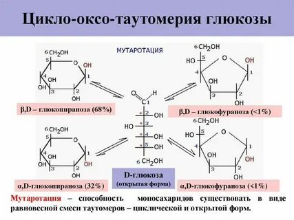 Дайте полную характеристику глюкозы с6н1206 используя пример