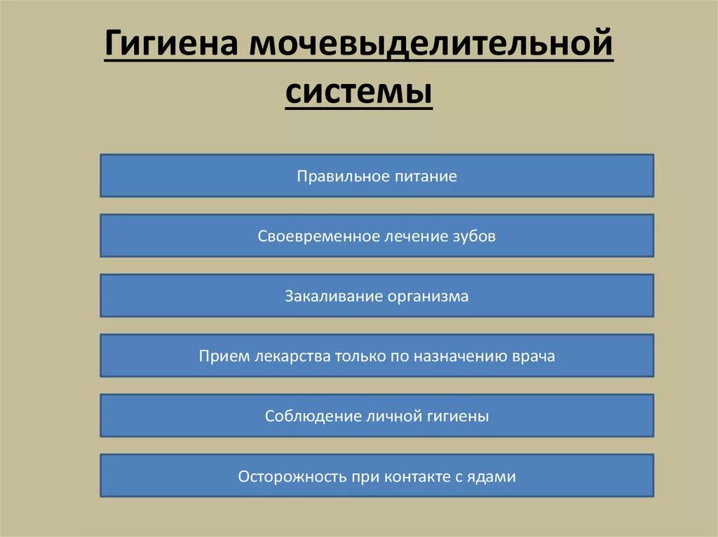 Профилактика заболеваний органов мочевыделительной системы. Гигиена выделительной системы. Гигиенавыдилительной системы. Гигиена органов мочевыделительной системы. Гигиена выделительной системы предупреждения заболеваний.