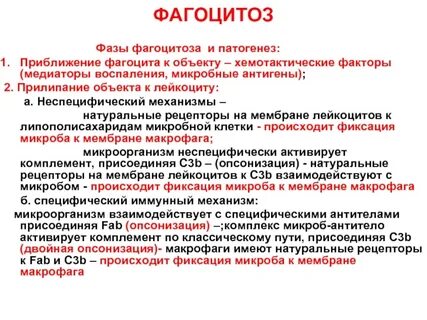 Функции воспаления