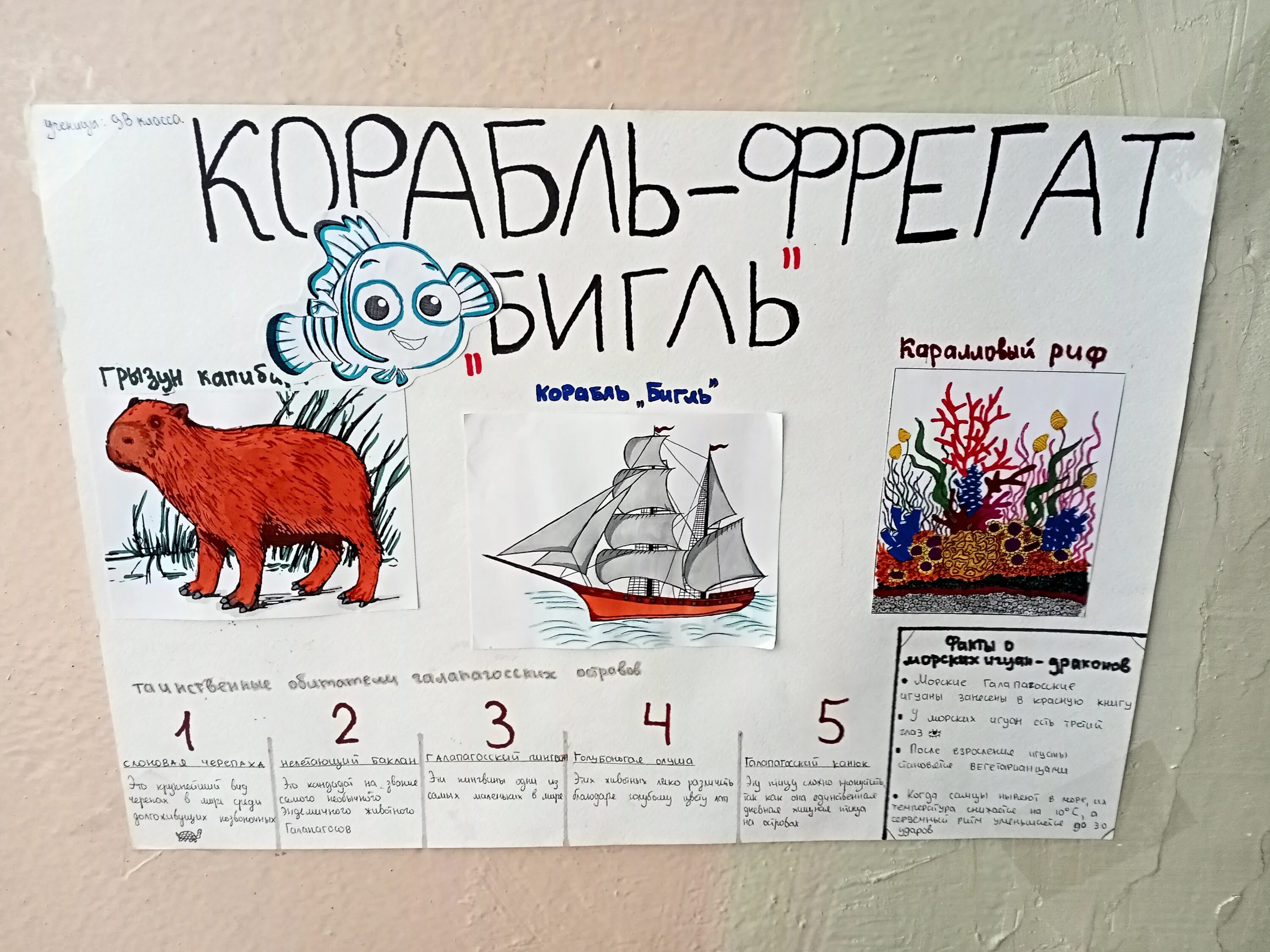 Poster 2023. Неделя науки плакат. День науки плакат. Плакат ко Дню науки в школе. День Российской науки плакат.