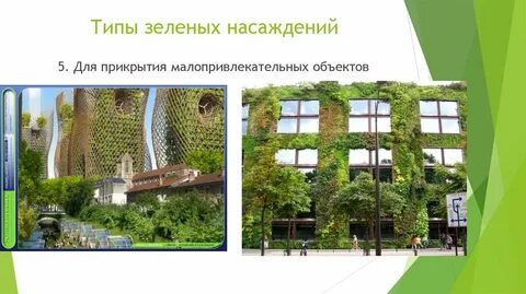 Расчет зеленых насаждений