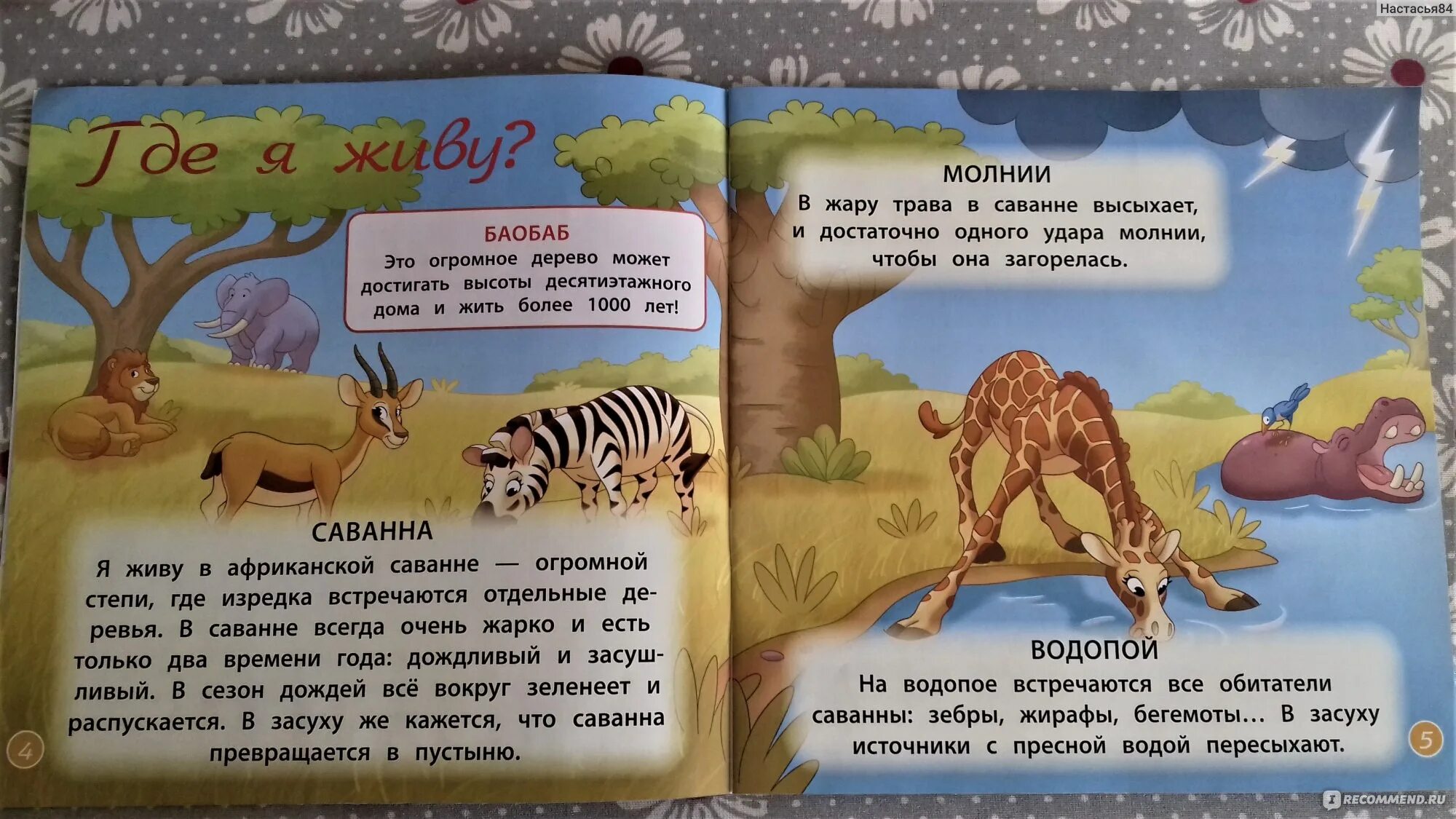 Песня обезьяна подавилася бананом. Песня обезьяна подавилася бананом. От улыбки лопнул бегемот текст. Песня обезьяна подавилася бананом. От улыбки лопнул бегемот обезьяна подавилась бананом текст.