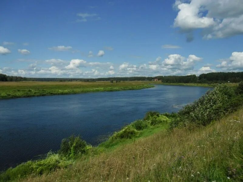 Борки новгородская область