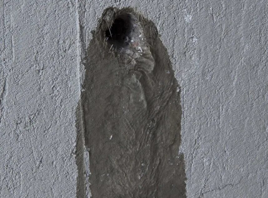 Плесень в квартире. Мокрые стены в доме. Плесень на стенах. Плесень в доме. Плесень в панельных домах и квартирах.