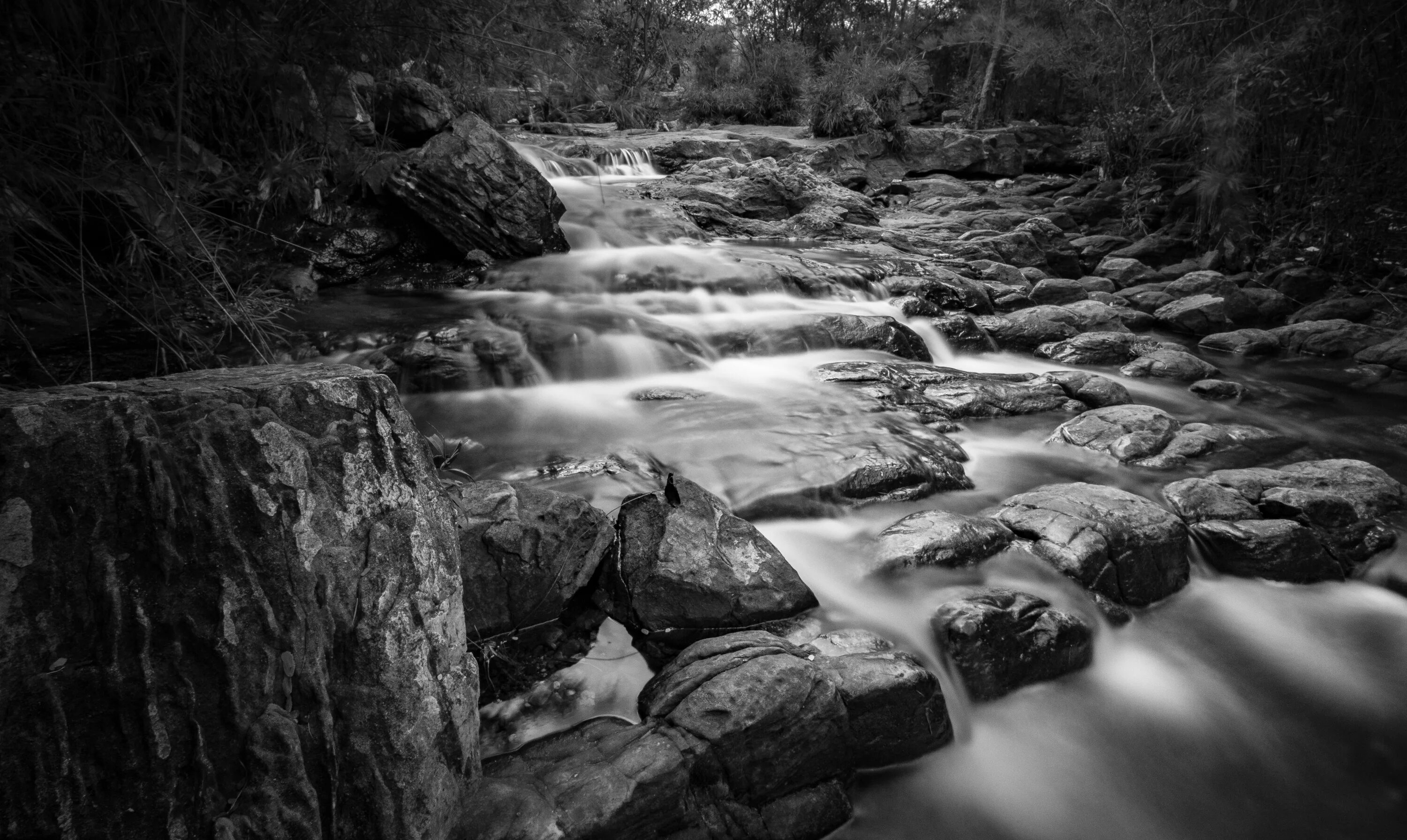 White river. Река черно белая. Горная река. Горная река черно белая. Горный ручей.