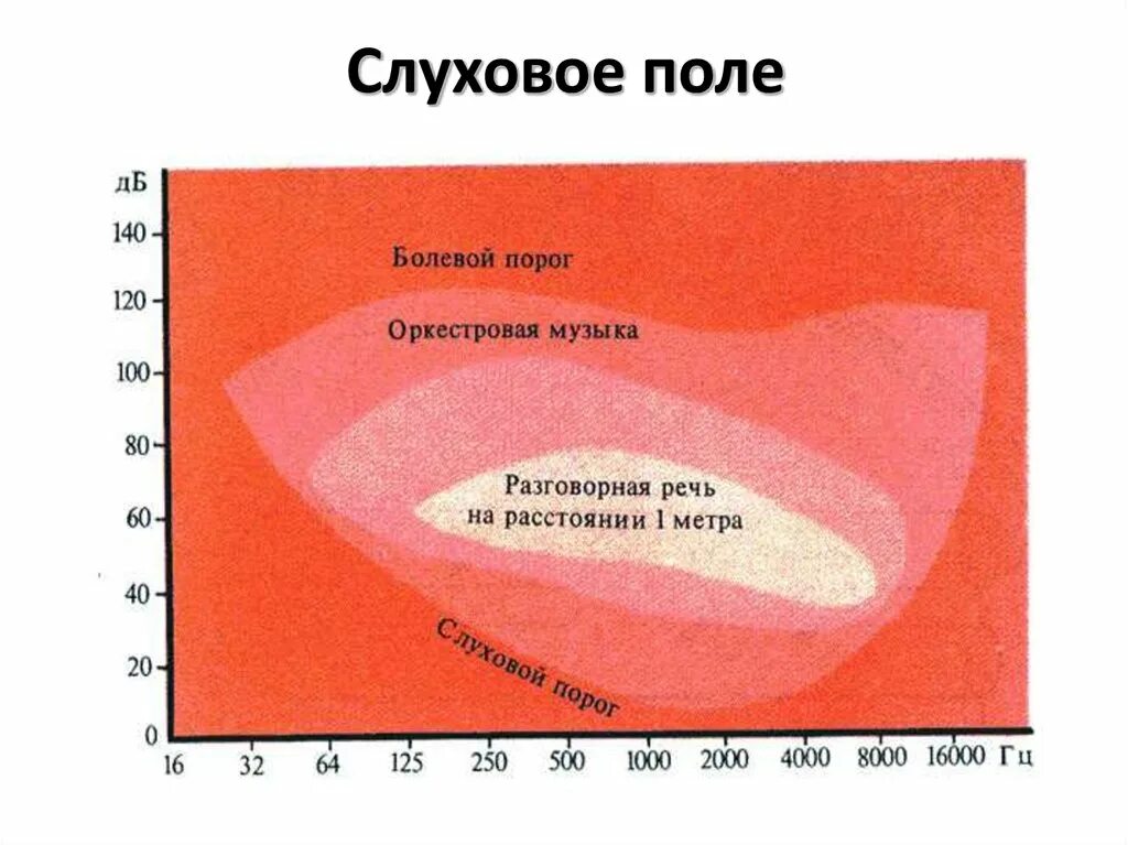 Болевой порог планка текст