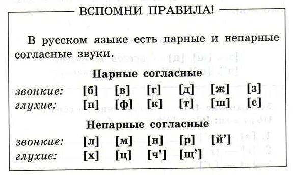 Таблица звонких и глухих согласных русского. Парные согласные звонкие и глухие таблица. Звуки по глухости звонкости таблица. Парные непарные звонкие и глухие согласные таблица. Парные непарные звонкие и глухие согласные таблица 2 класс.