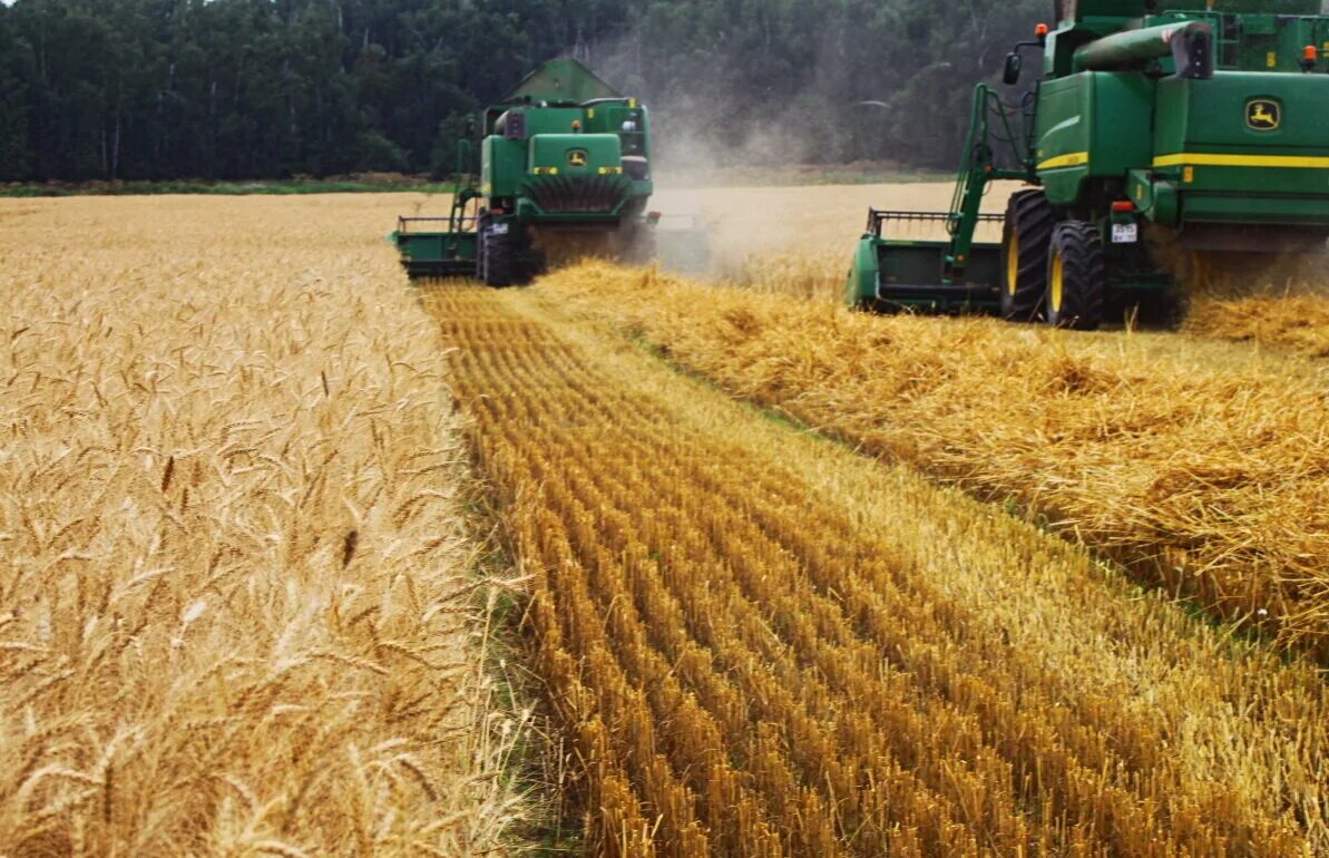 Что такое страда. Уборочная страда. Жатва у древних славян. Колхоз щара агро барановичск. Уборка урожая.