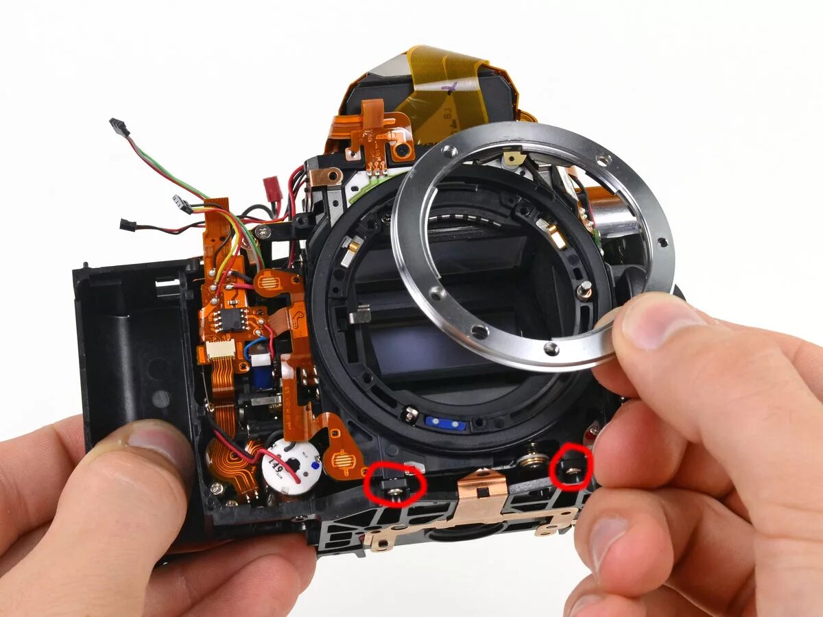 Nikon-d800-DSLR-Camera-Teardown. Разобранный фотоаппарат. Объектив в разборе. Объектив камеры. Canon ремонт видеокамер недорого