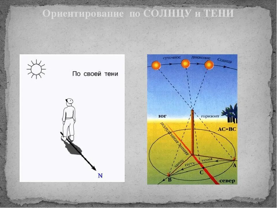 На какой стороне горизонта встает солнце. Ориентирование на местности по тени. Схема ориентирования по солнцу. Ориентация на местности по тени. Ориентирование по тени от солнца.