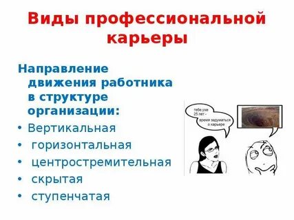 Определение понятий карьера и профессиональная карьера