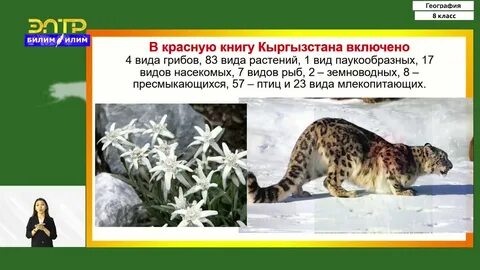 Презентация растительный и животный мир 8 класс