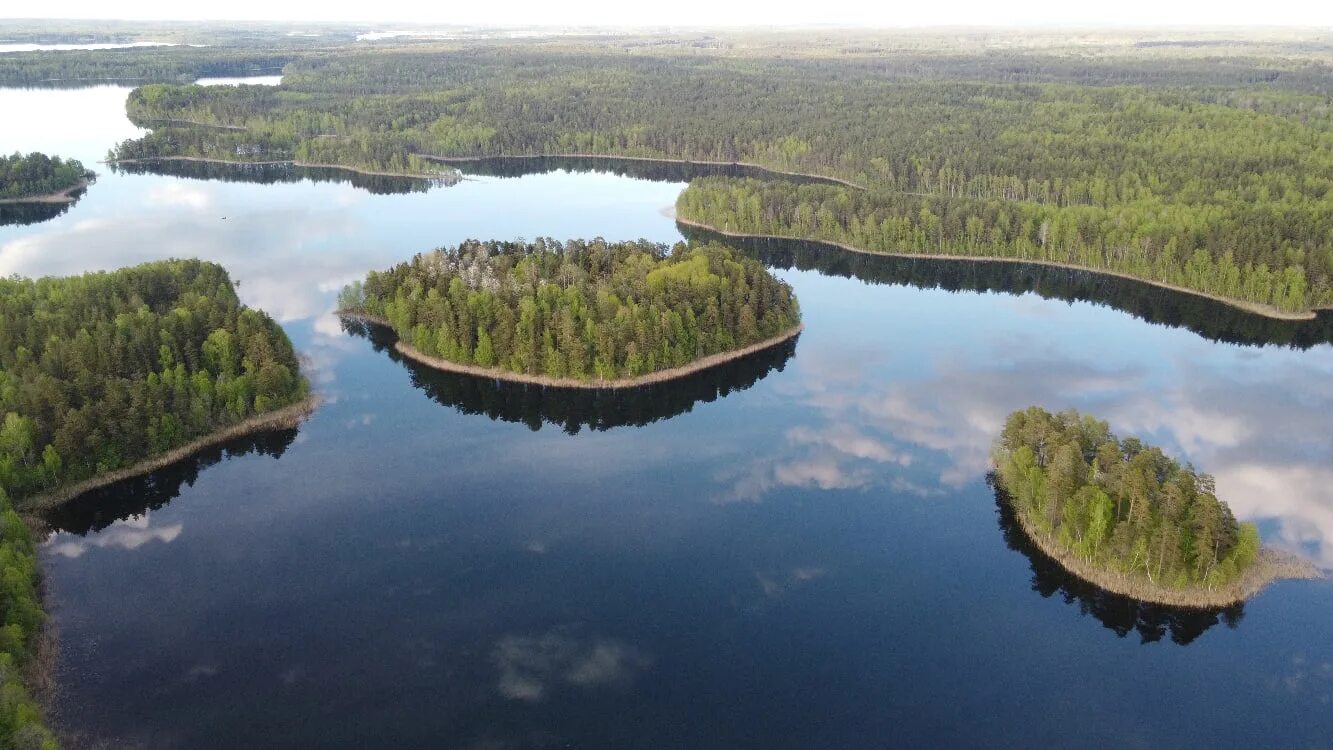 Крупнейшее озеро района россии. Озеро черствица Невельский. Озеро Невель Псковской области. Невель озеро черствица. Невельское озеро Псковская область.