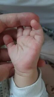 Твердая ладонь