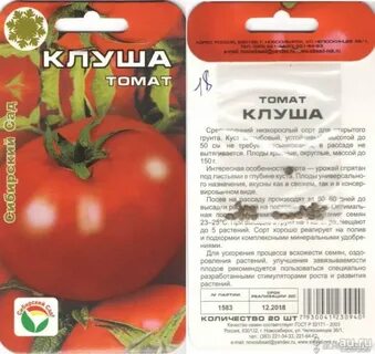 Клуша характеристика и описание