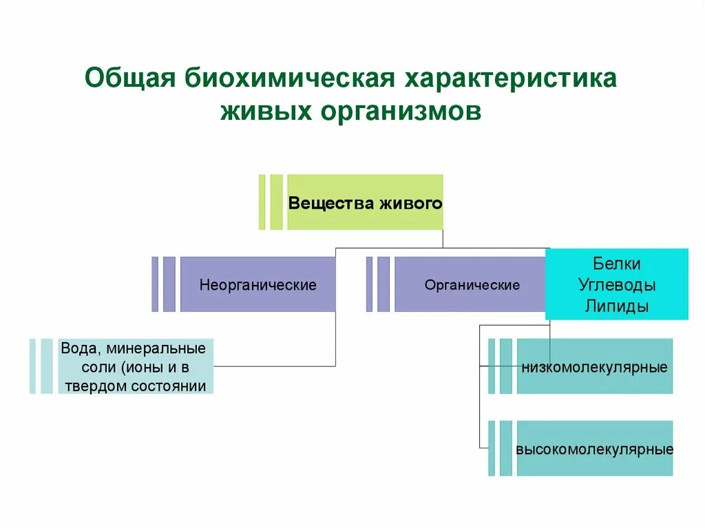 Принципы организации живого. Характеристика живых организмов. Общие особенности живых организмов. Основные характеристики биохимии. Биохимия в живых организмах.