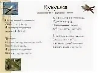 Кукушка слова и музыка. Текст песни Кукушка. Швейцарская народная песня Кукушка. ТЕКТЕКСТ песни Кукушка. Кукушкой одинокой беспечно я живу.