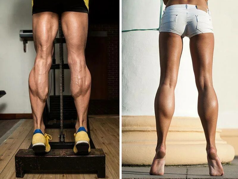Качаем ноги девушке. Calves Джули Уайт. Упражнения для икронодныхмышц. Упражнения для икроножных мышц. Накаченные ноги.
