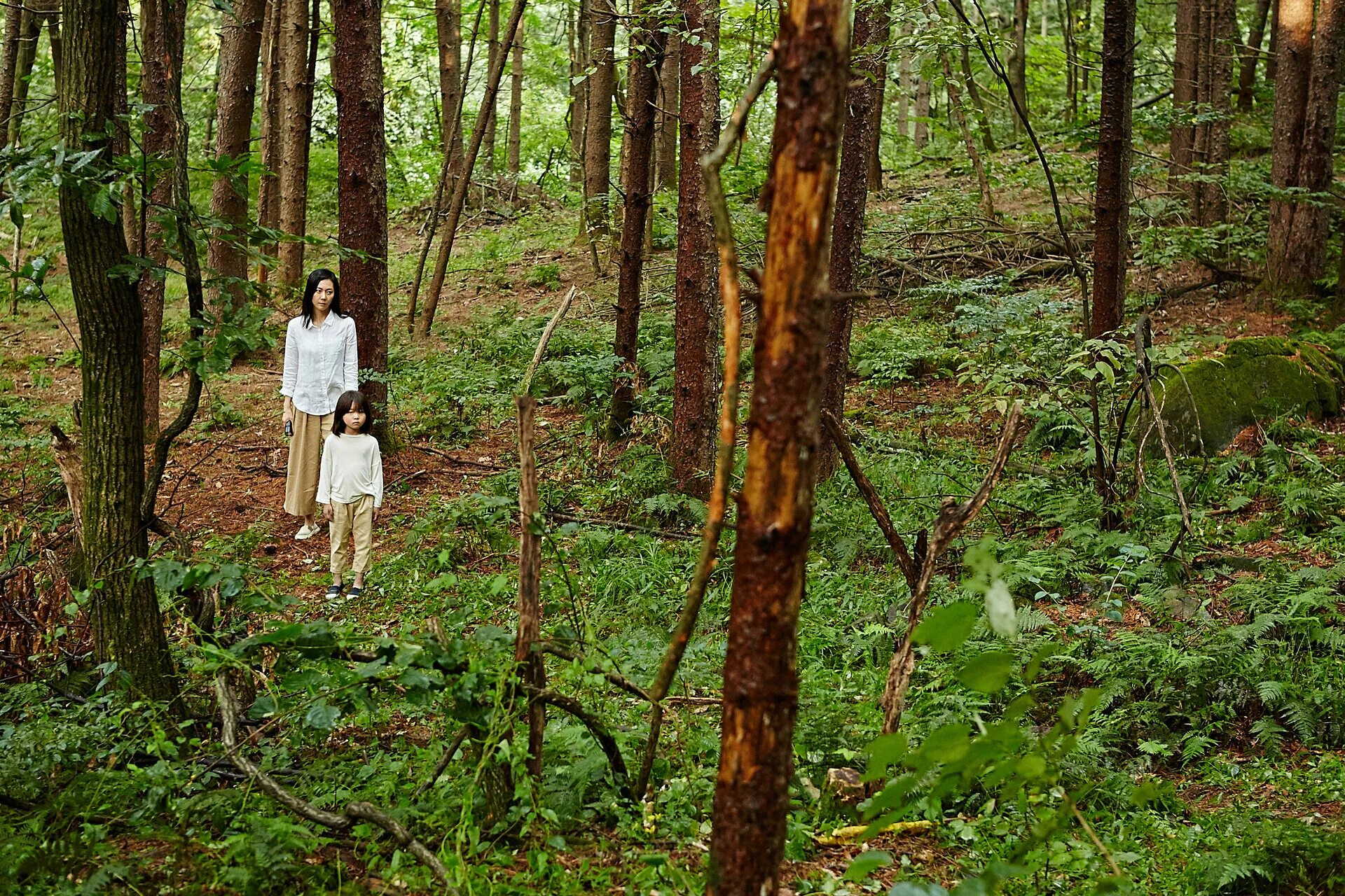 Мимикрия 2017. Каллима бабочка окраска. Teratodes monticollis. Тюмень). Театр мимикрия тюмень официальный сайт афиша.