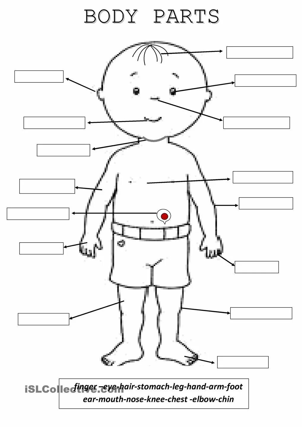 Схема человека для детей. Части тела для детей. Изображение ребенка для изучения частей тела. Части тела рисунок. Части тела на английском языке.