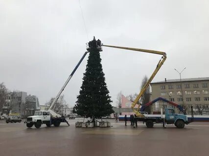 Елка в дербенте