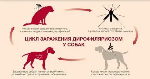 Заражение этажи