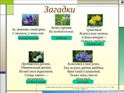 На большой цветной ковер села эскадрилья