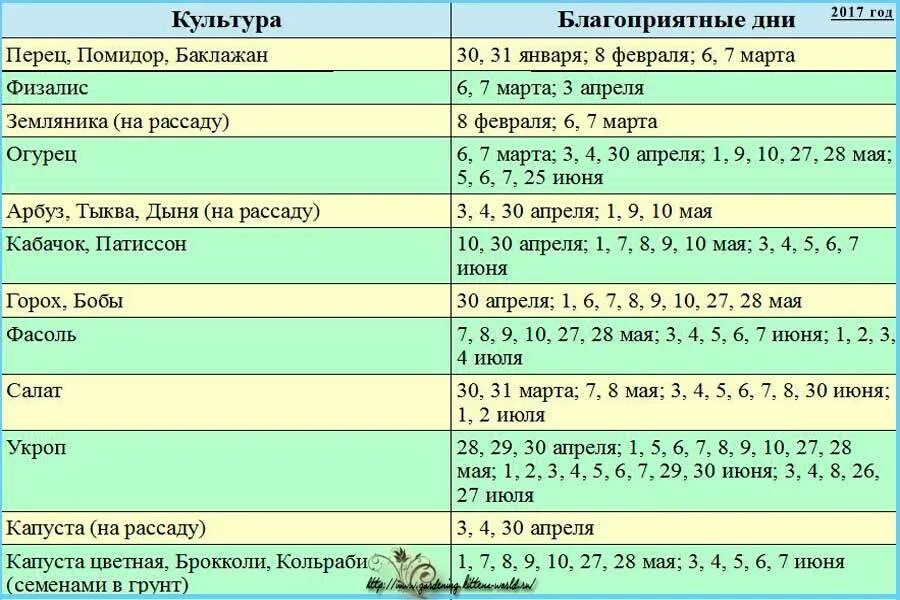 Какого числа нужно сажать. Благоприятные дни для высадки рассады томатов. Даты когда высаживать помидоры на рассаду. Благоприятные дни для посадки семян томатов. Посадка рассады в марте.