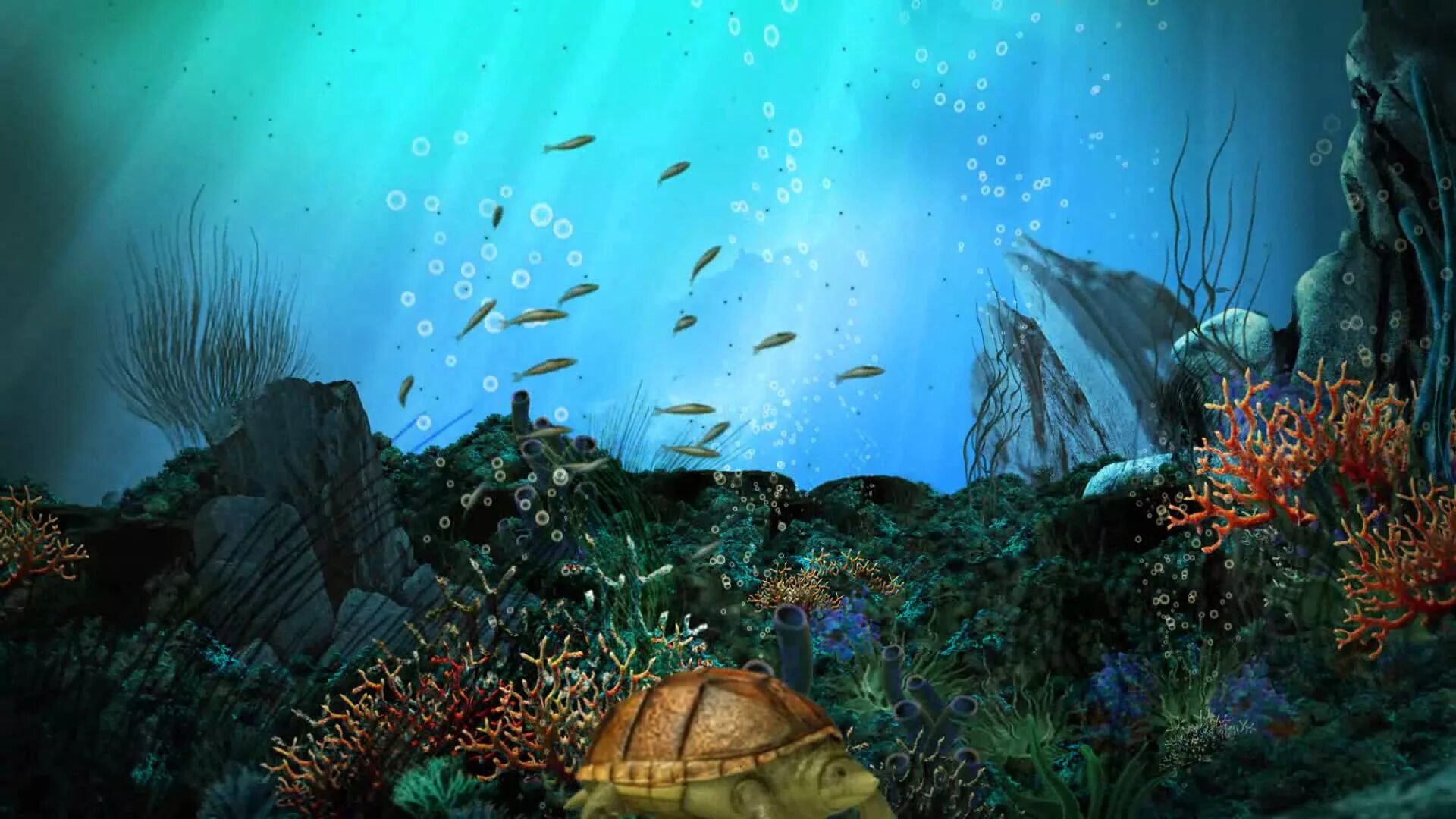 Анимированный рабочий стол пк. Интересные живые обои. 3d аквариум. Фон в стиле матрицы. Матрица обои.