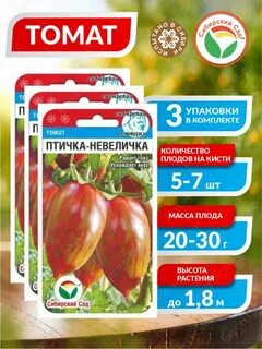 Томат птица