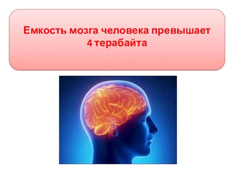 Сколько в мозгах памяти. Емкость мозга человека превышает 4 терабайта.. Объём памяти человеческого мозга. Емкость памяти мозга человека. Ёмкость мозга в терабайтах.