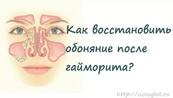 При гриппе пропадает обоняние и вкус. Потеря обоняния при синусите. потеря обоняния при орви. как восстановить обоняние. обоняние при насморке.