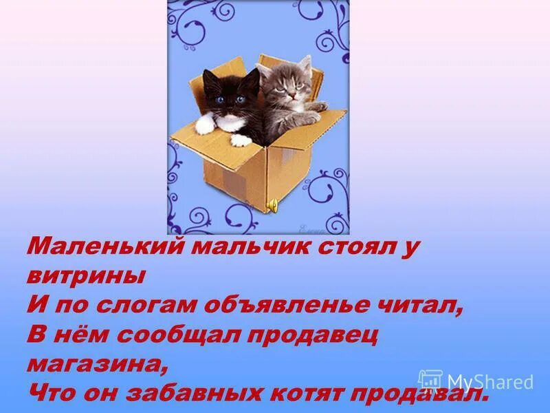 Объявление по слогам. Маленький мальчик стоял у витрины. Маленький мальчик стоял у витрины и по слогам объявление читал. Стихотворение маленький мальчик стоял у витрины.