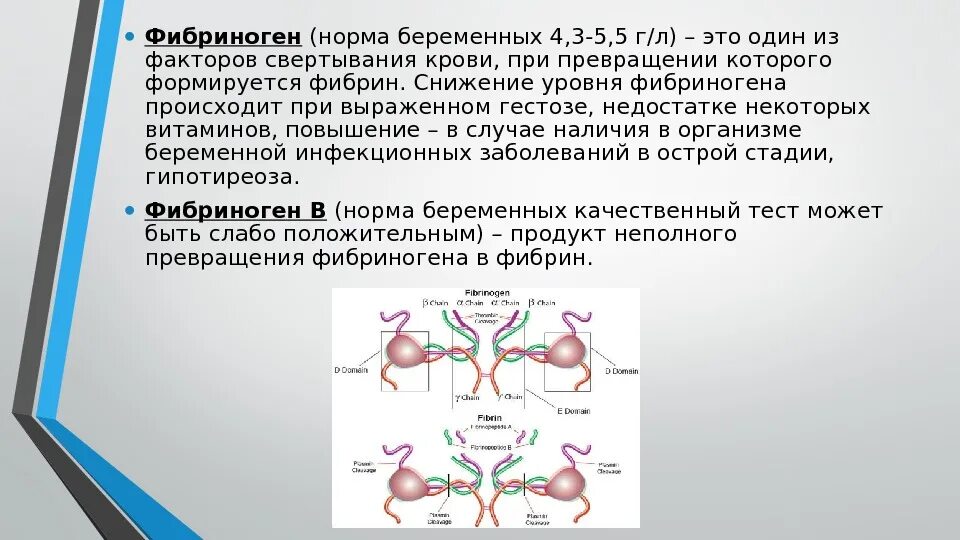 Фибриноген в крови что это у мужчин. Фибриноген плазмы норма. Фибриноген норма. Фибриноген синтезируется в.