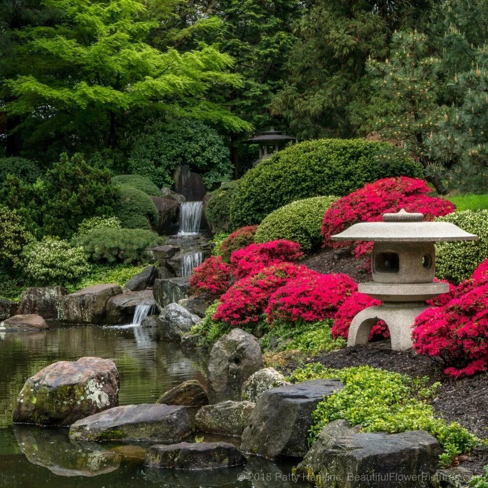 Дендра парк японский сад. Японский сад Цукияма. Сад Цукияма в Японии. Сады Киото Япония. Японский парк сайт