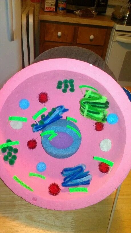 Cell project