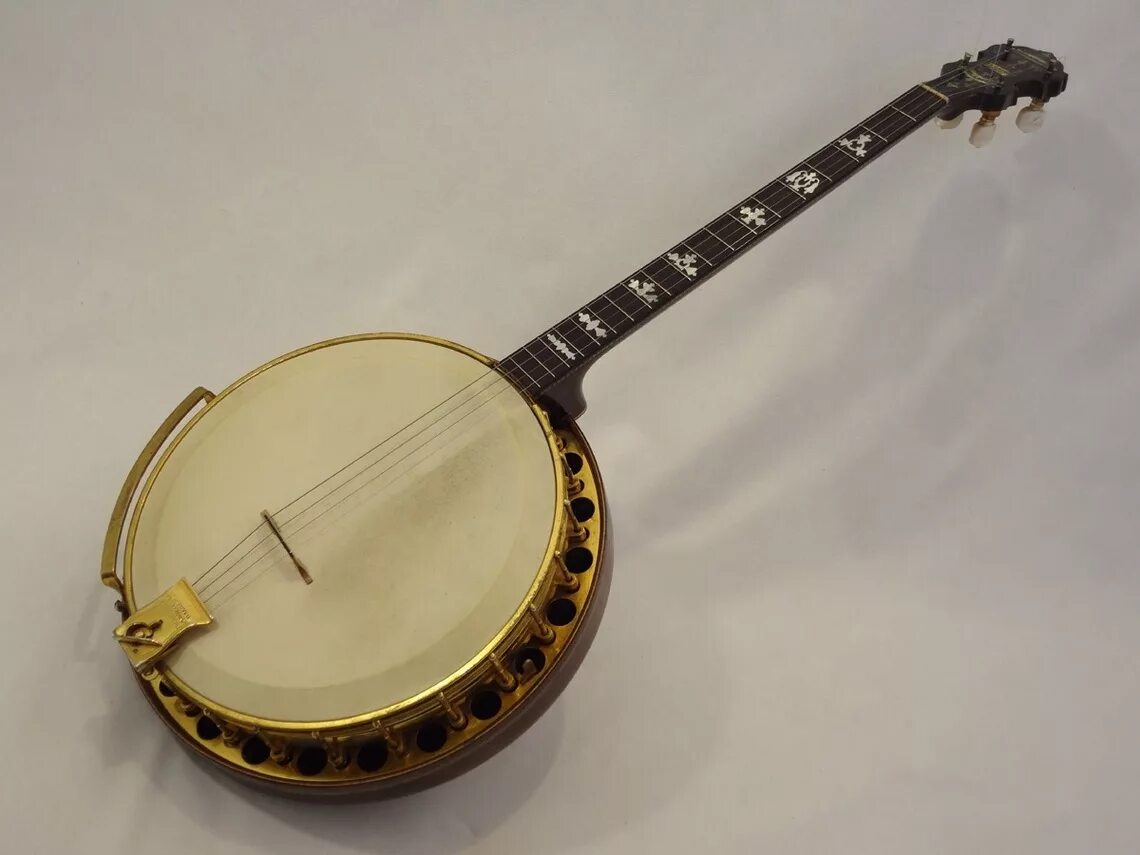 Банджо струнные щипковые. Банджо струнные щипковые музыкальные инструменты. Банджо 9 струн. Банджо 9 струн. Банджо с шестью струнами.