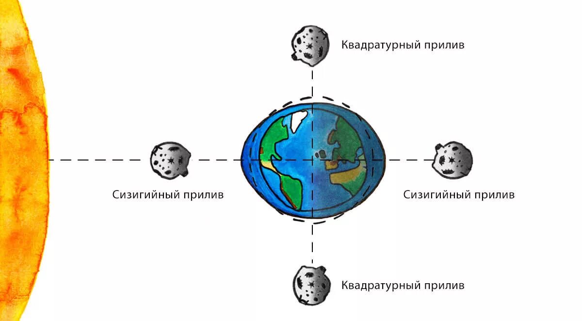 Как ощущаются приливы. Сизигийные и квадратурные приливы. Сизигийные приливы схема. Схема лунных приливов. Приливы и отливы схема.