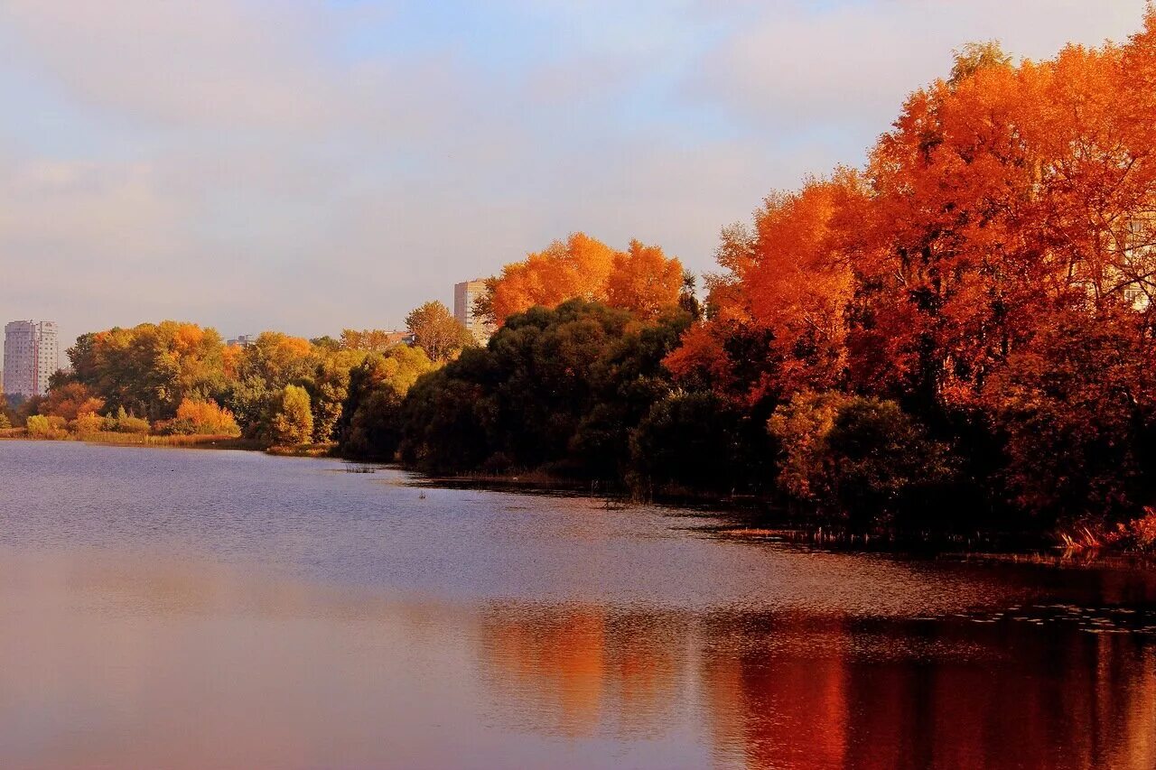 осень выдалась. великий новгород осенью. осень выдалась. великий новгород осенью. осень выдалась.