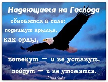 Надеющиеся на господа