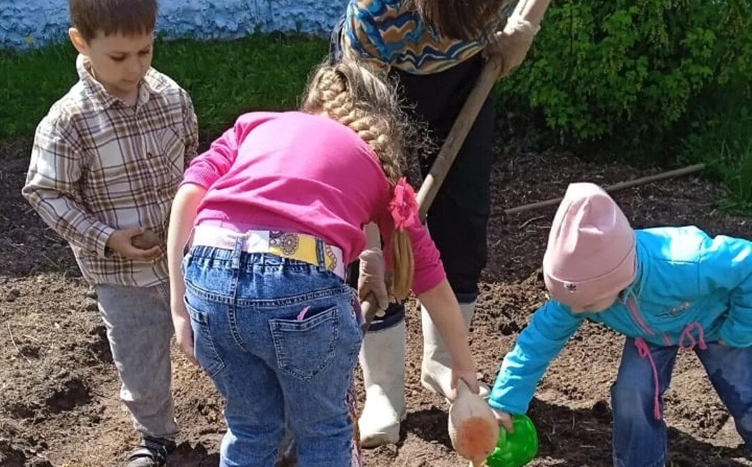 Дети посадили огород. Огород для детей. Огород в детском саду. Что посадить в огороде. Дети ухаживают за огородом.