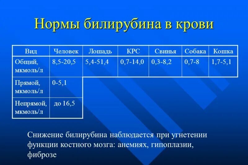 Билирубин норма у женщин после 50 таблица Билирубин норма у мужчин после 40 лет