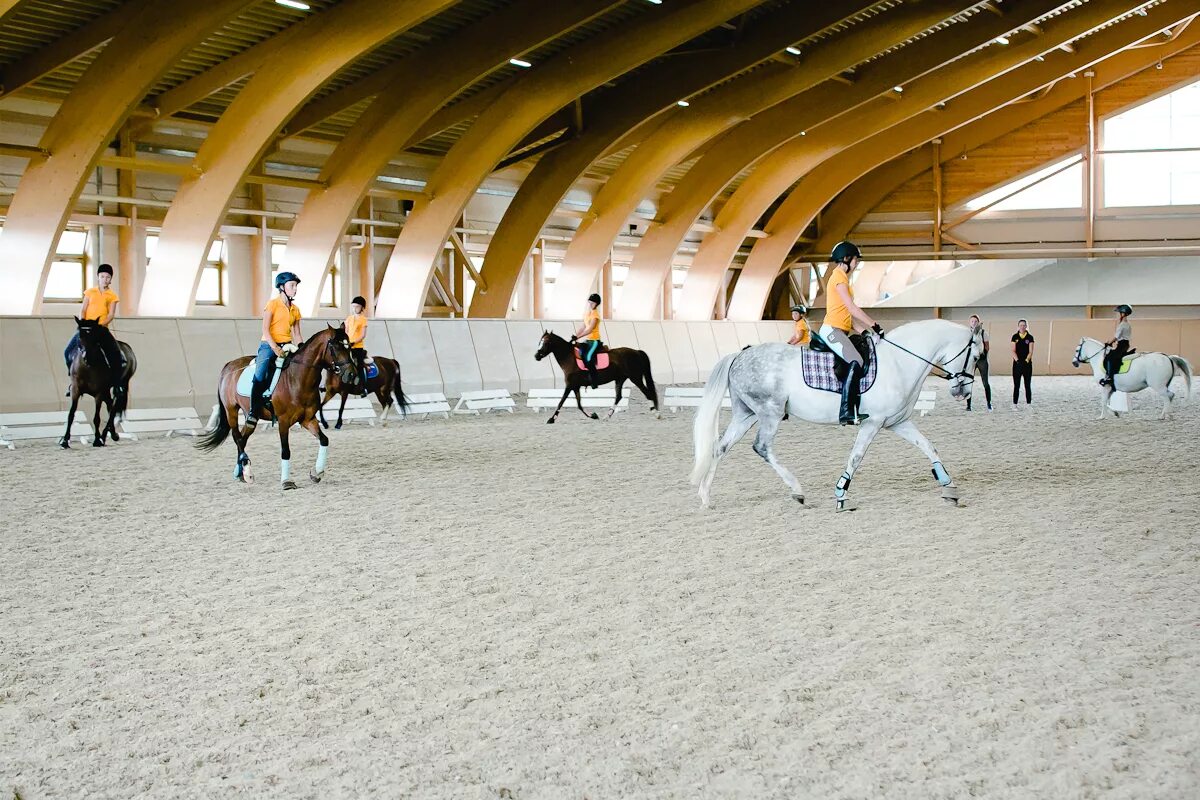 Кск форсайд конюшня. Конный клуб манеж. Конный клуб манеж. Конюшня малое карлино. Центральный московский ипподром крытый манеж.