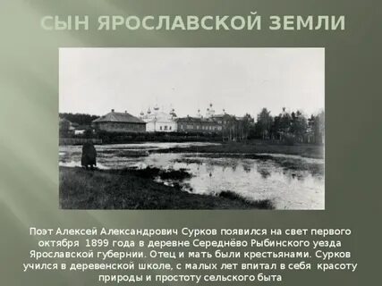 Родился в ярославской губернии