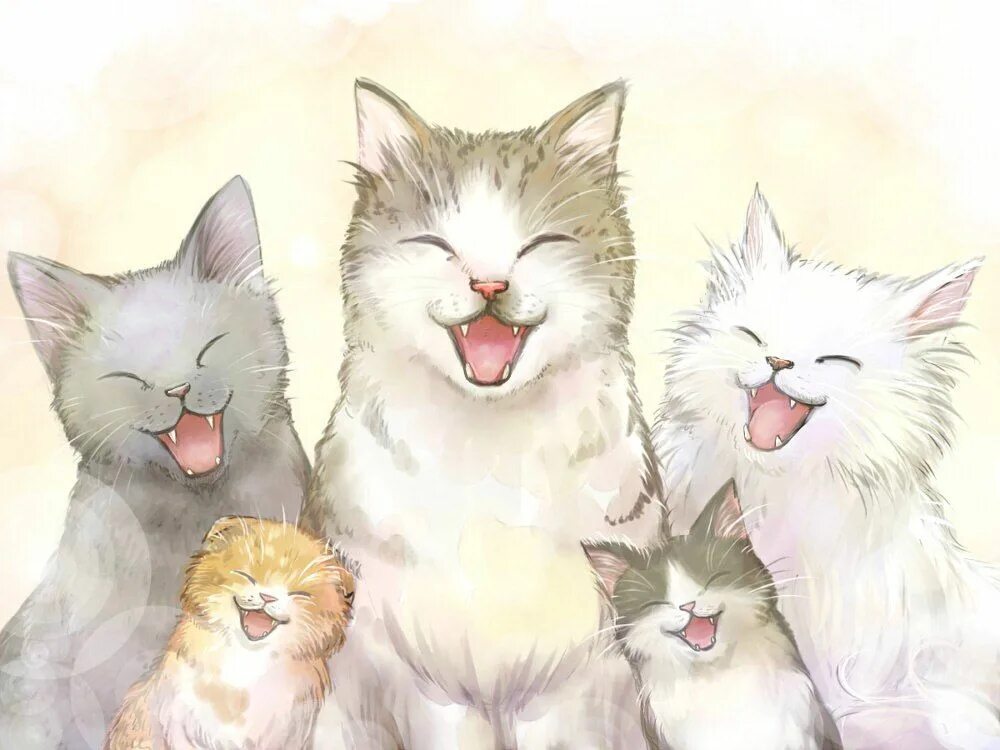 05 cat