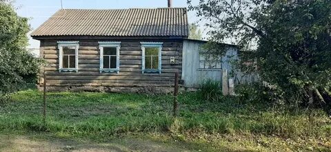 Добрые пчелы рязанская область